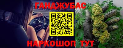 МДПВ Пушкино